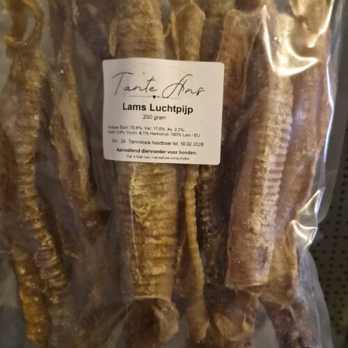 Lamsluchtpijp