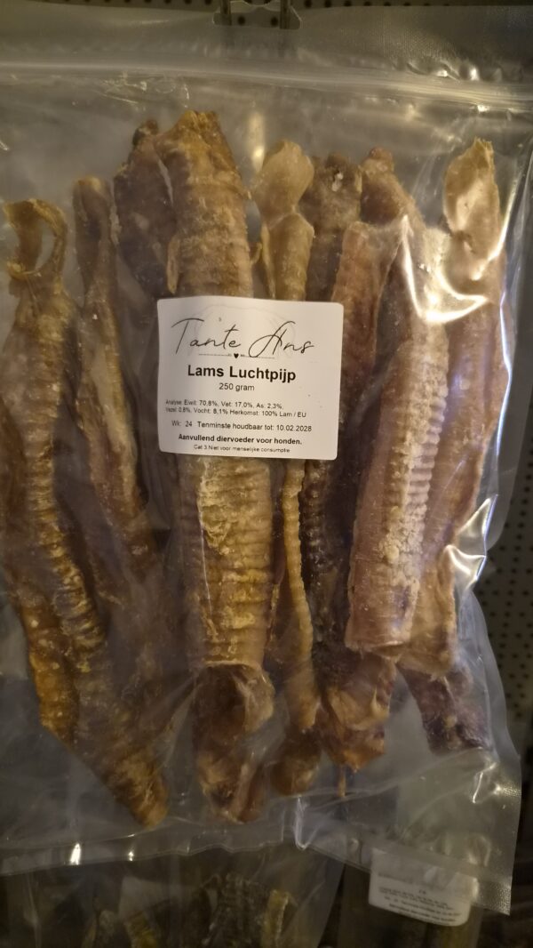 Lamsluchtpijp